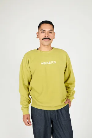 AQUARIUS ZODIAC PULLOVER