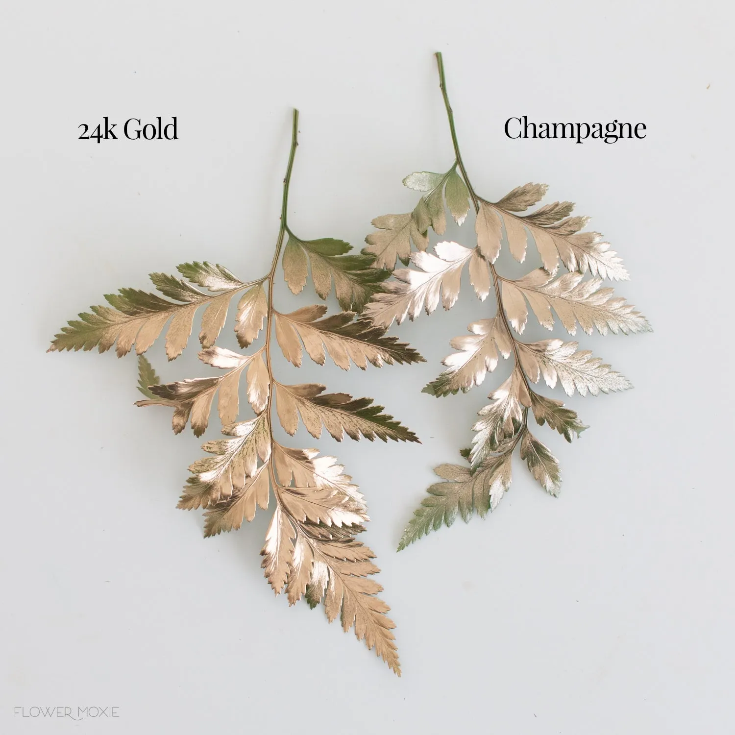 Champagne Gold Design Master Colortool Floral Spray Paint