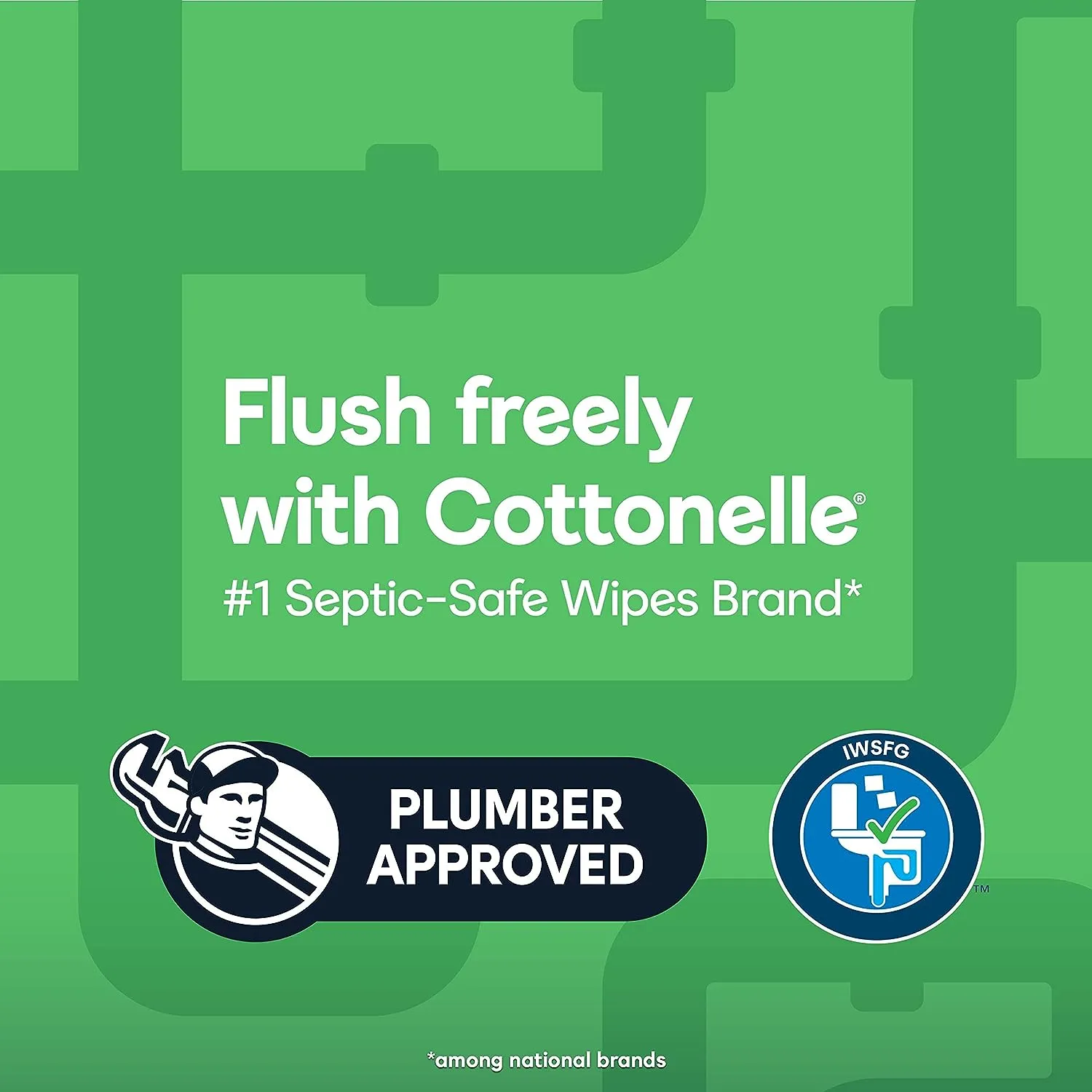 Cottonelle GentlePlus Flushable Wet Wipes with Aloe & Vitamin E (6 Packs of 42 Wipes)