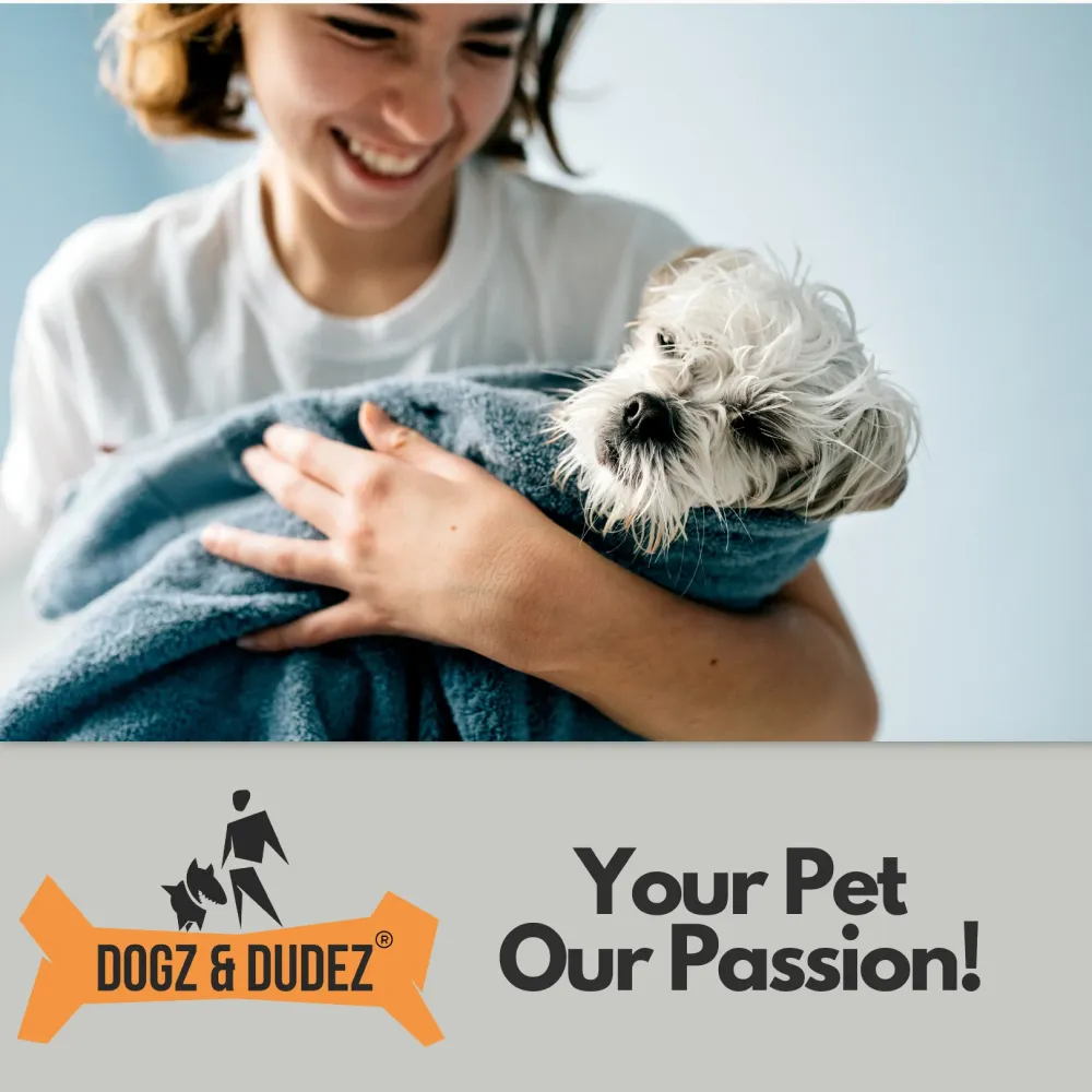 DOGZ & DUDEZ Coconut Shampoo for Dogs and Cats (Limited Shelf Life)