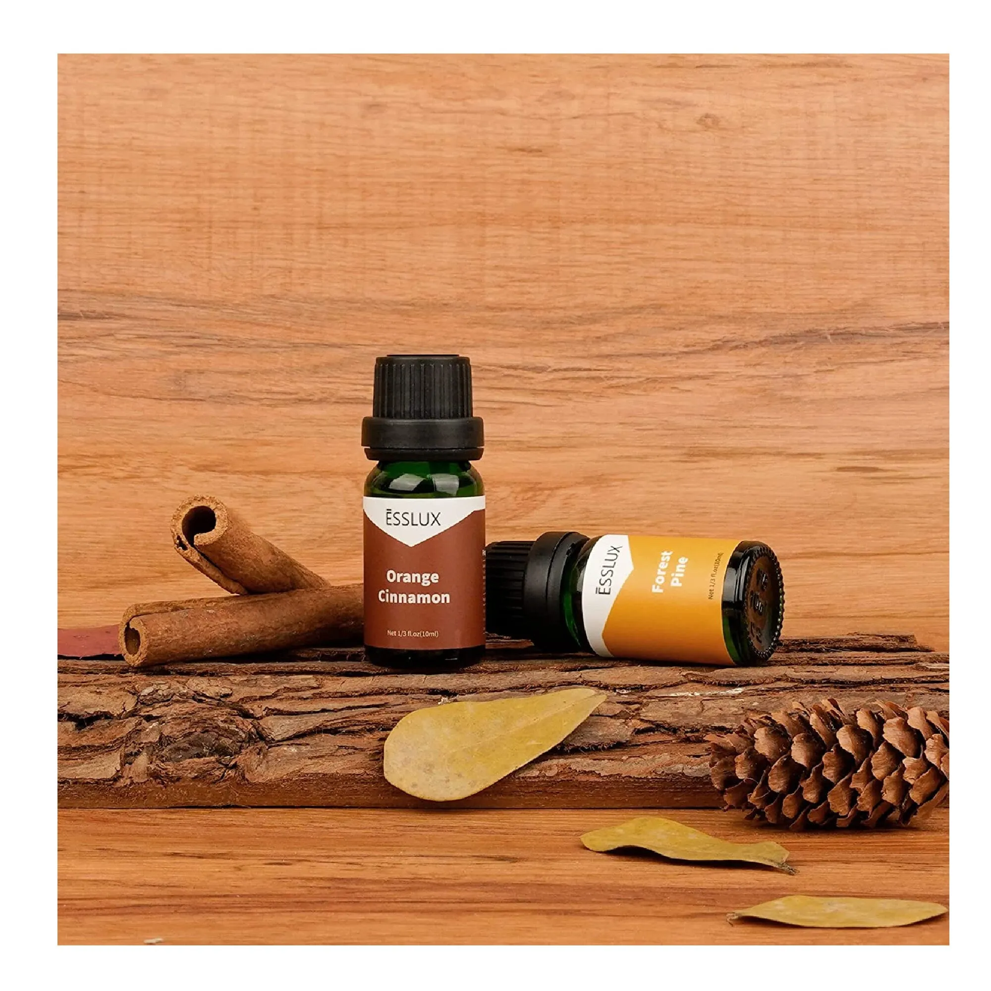 Fragrance Oil | ESSLUX Autumn Fragrance Oil Set | Scents To Make Soap And Candles | Essential Oil Gift Set for Home Diffuser