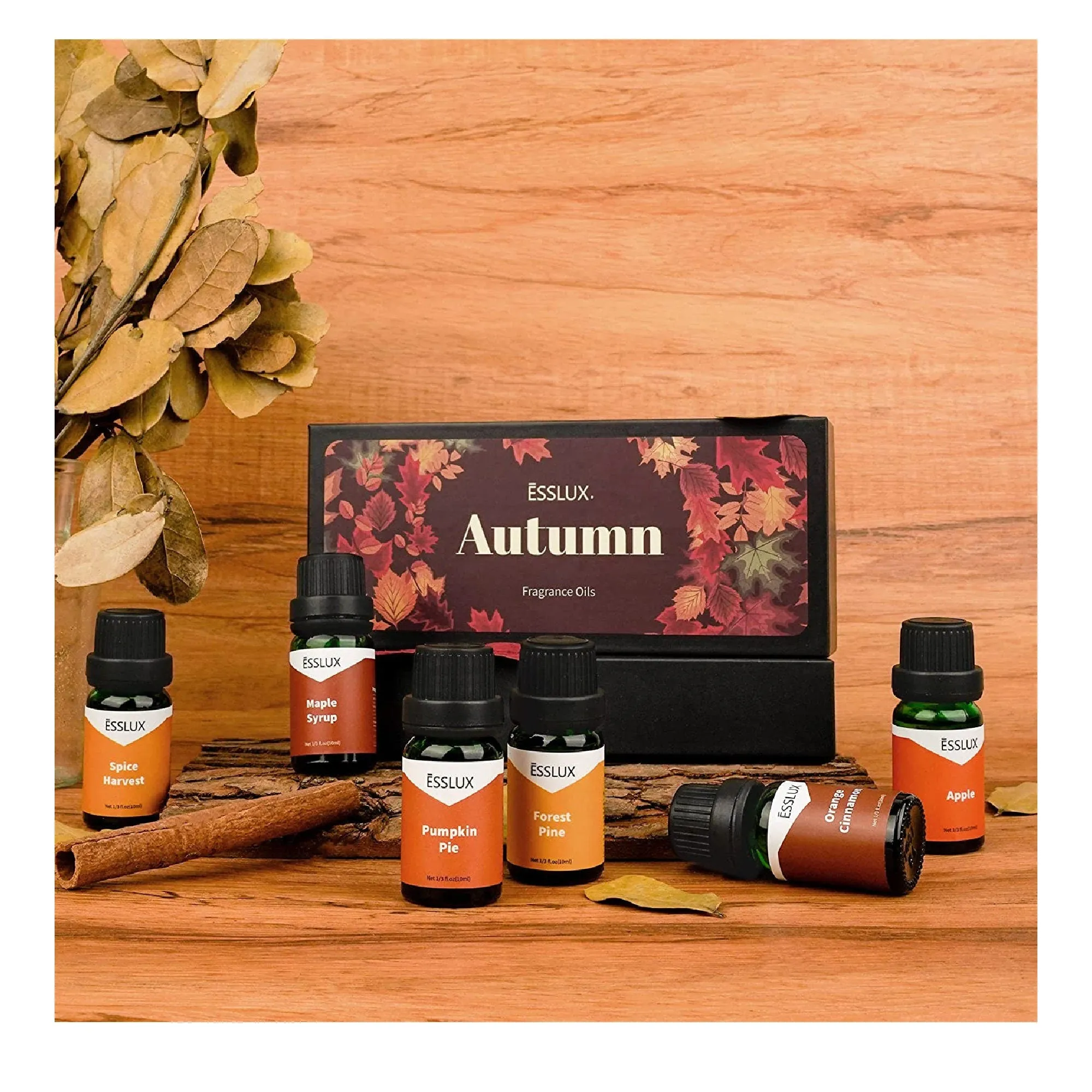 Fragrance Oil | ESSLUX Autumn Fragrance Oil Set | Scents To Make Soap And Candles | Essential Oil Gift Set for Home Diffuser