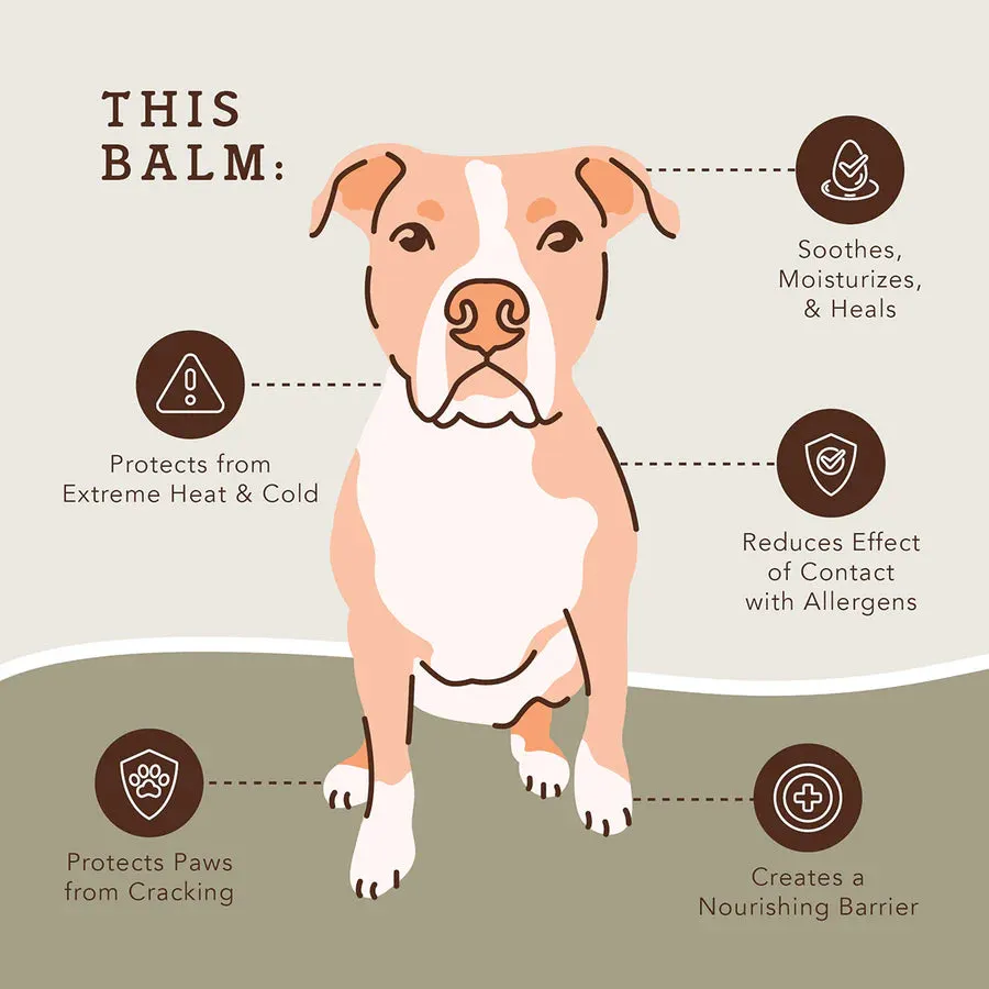 Natural Dog Company Pawtector-Holistic Dog Balm - Wholesale