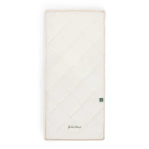 Organic Crib Mattress 38x89